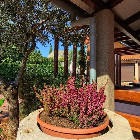 Charming Donatella With Private Pool In Pula *